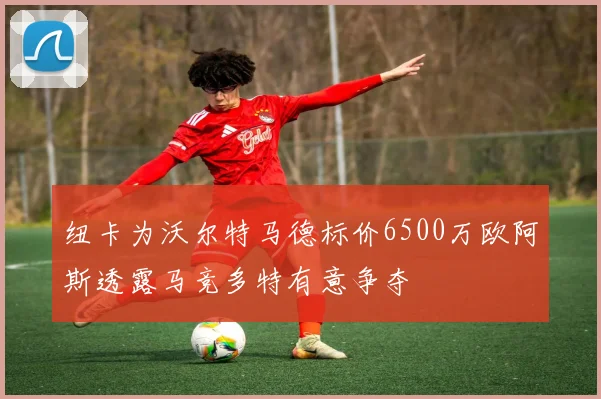 纽卡为沃尔特马德标价6500万欧阿斯透露马竞多特有意争夺
